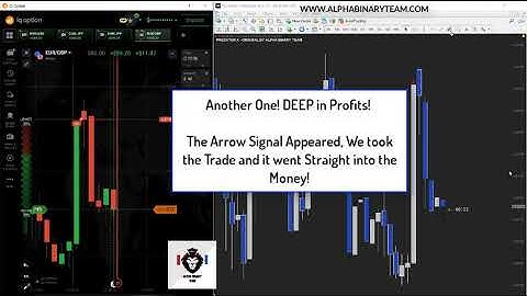 Alpha Binary Team IQ Option Trading with Predator X Indicator