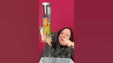 Interesting Bernoulli principle experiment 🧪 what should I try next?