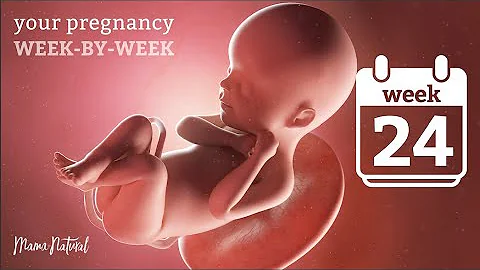 24 Weeks Pregnant - Natural Pregnancy Week-By-Week