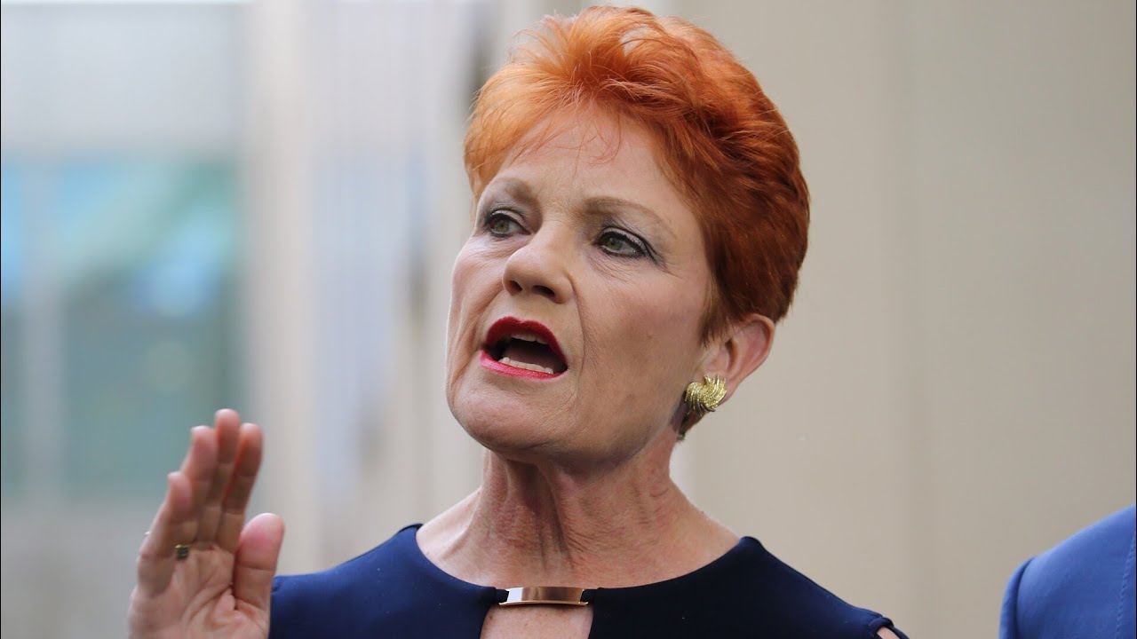 ⁣‘I feel vindicated’: Pauline Hanson reflects on South Australian election