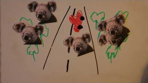 Habitat Fragmentation