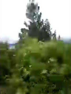 Samosir huta ginjang simanindo part 1