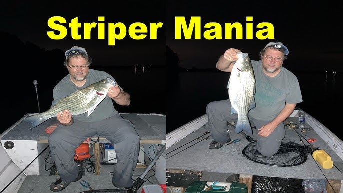 Thumping for Stripers- How to use your thumper and graph to find