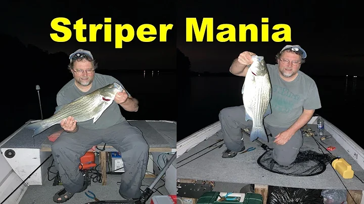 How to Catch Stripers and Hybrids In and Around PA
