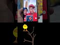 THE PLUCKY'S SCREAM #funny #effect