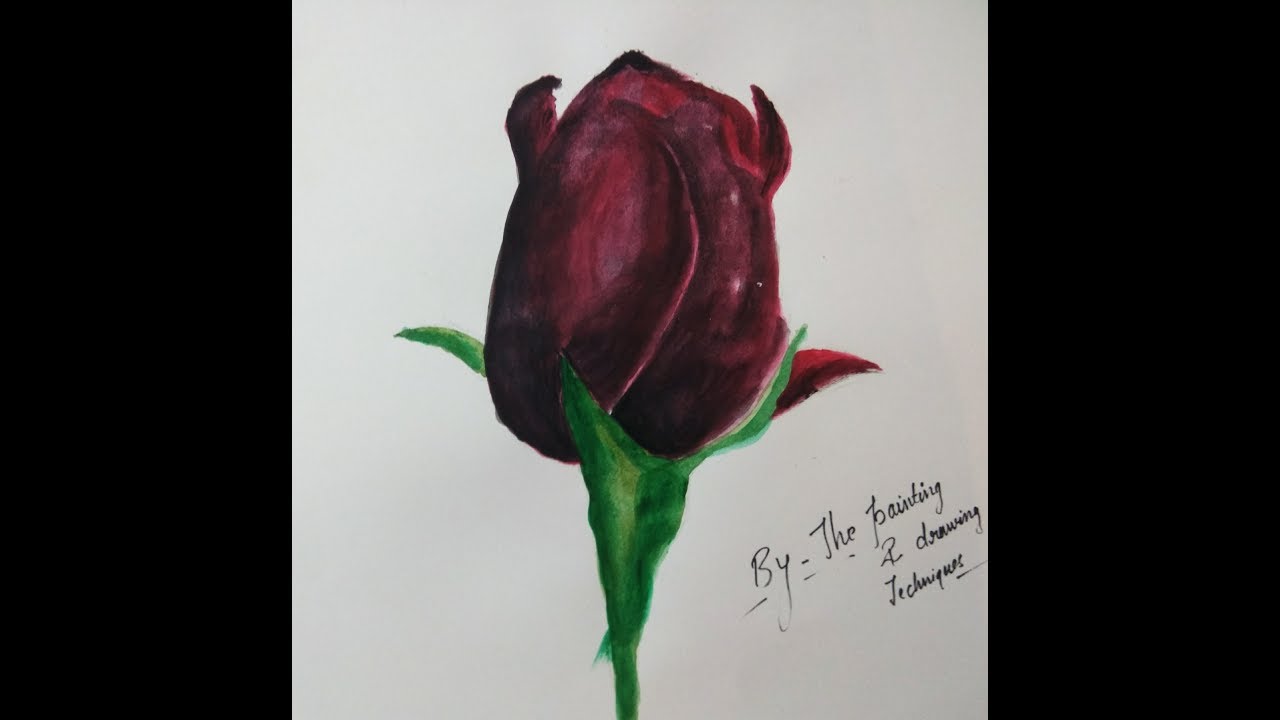 Rose Painting tutorial in Acrylics for beginners step by step - YouTube