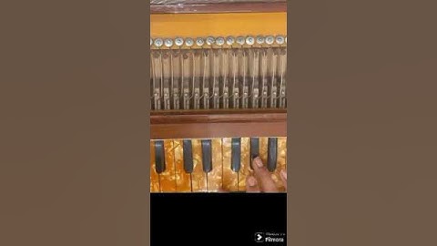 nagin dhun | nagin dhun on harmonium | nagin song | #nagin #harmonium #song #nagin dhun #nagindance