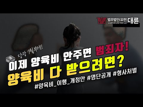 양육비 미지급 더이상은 NO!!|양육비 이행법 개정안|처벌대상이기에