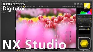 NX Studio #3 カラーコントロールポイントを使った画像編集【ニコン公式 Digitutor】