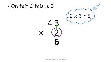 Poser une multiplication sans retenue   CE1