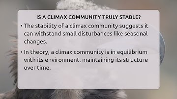 Is A Climax Community Truly Stable? - Biology For Everyone