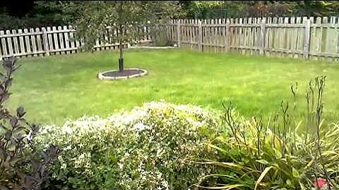 Pantech Breakout Sample Video