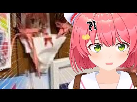 어..어디서 훔친거야!? [홀로라이브 사쿠라 미코]