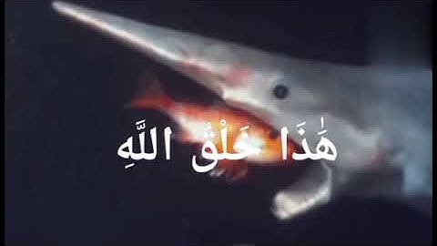 هذا خلق الله... قارئ إسلام صبحي | surah  luqman ayah 11 by qari Islam subhi #trending