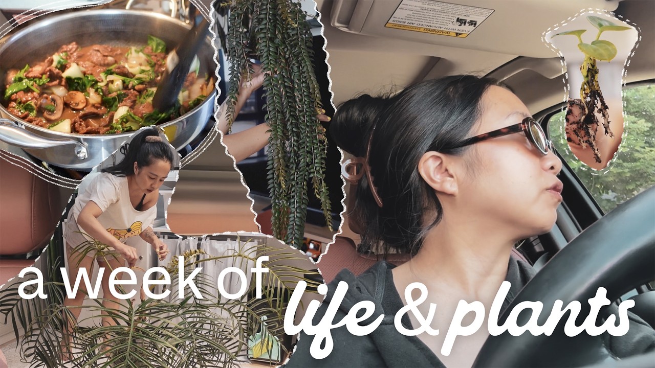 A week of life and plants | plant care, meal prep and mom life