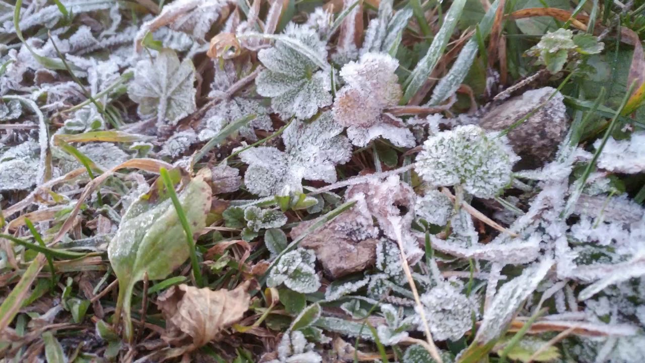 2017 - Hochsalm, Mittagsstein, Pfannstein
