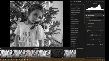 Filter Sub-Menu Rearrangement **LUMINAR 2018 **