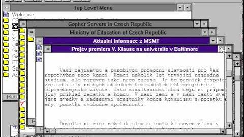 Gopher video from 1994