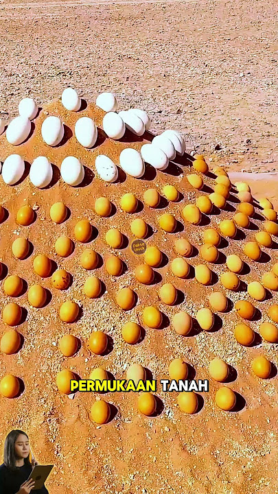 NERAKA DUNIA ! Suhu capai 80 Derajat, Gurun di China Ini Bisa Masak Telur di Atas Tanah !