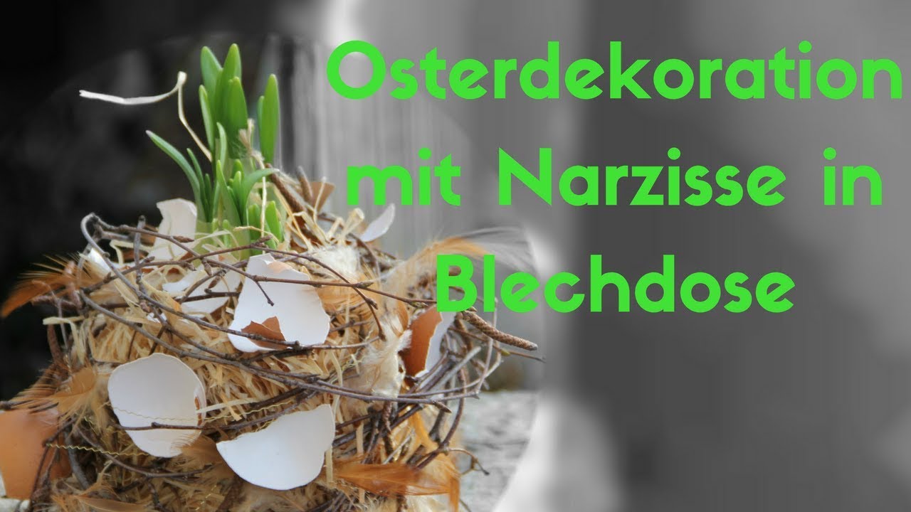 Osterdeko mit Aludose kreieren - Mit Narzisse alte Aludose Recyclen und zu Osterdeko umwandeln