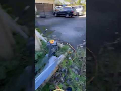 Insane Before and After Garden Transformation! SATISFYING