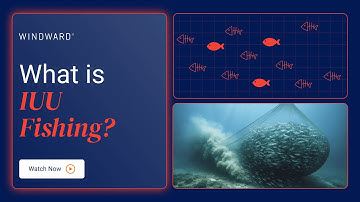 IUU Fishing Explained: Detect and Prevent Maritime Risk