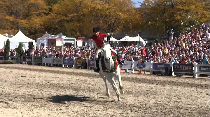 Wave the Flag - Bridleless World Equestrian Games ...