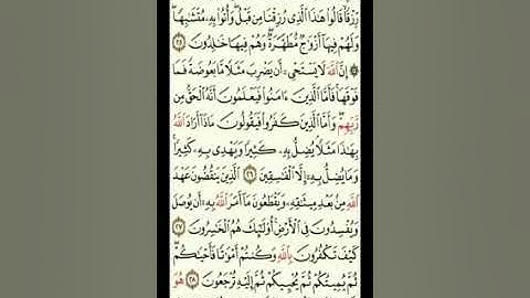 اتقان تلاوة الصفحة الخامسة من سورة البقرة - الشيخ محمد ابراهيم رزق