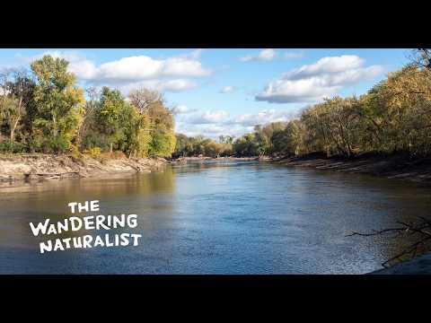 Episode 282: Rivers Inspiring Art – Poet Laureate and Waterways