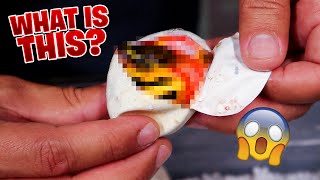 This is getting crazy! Vanilla Pied Ball Pythons!