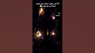 Lgbt Femboy ترنس گی شاه بعل شیمیل Trans سوشاجی Gay دوجنسه SushaG Love Sushag75 