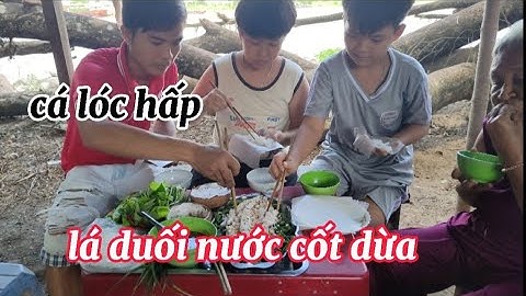 Cá lóc hấp lá duối nước cốt dừa món ăn đặc sản miền tây #cônghímiềntây #ẩmthựcmiềntây