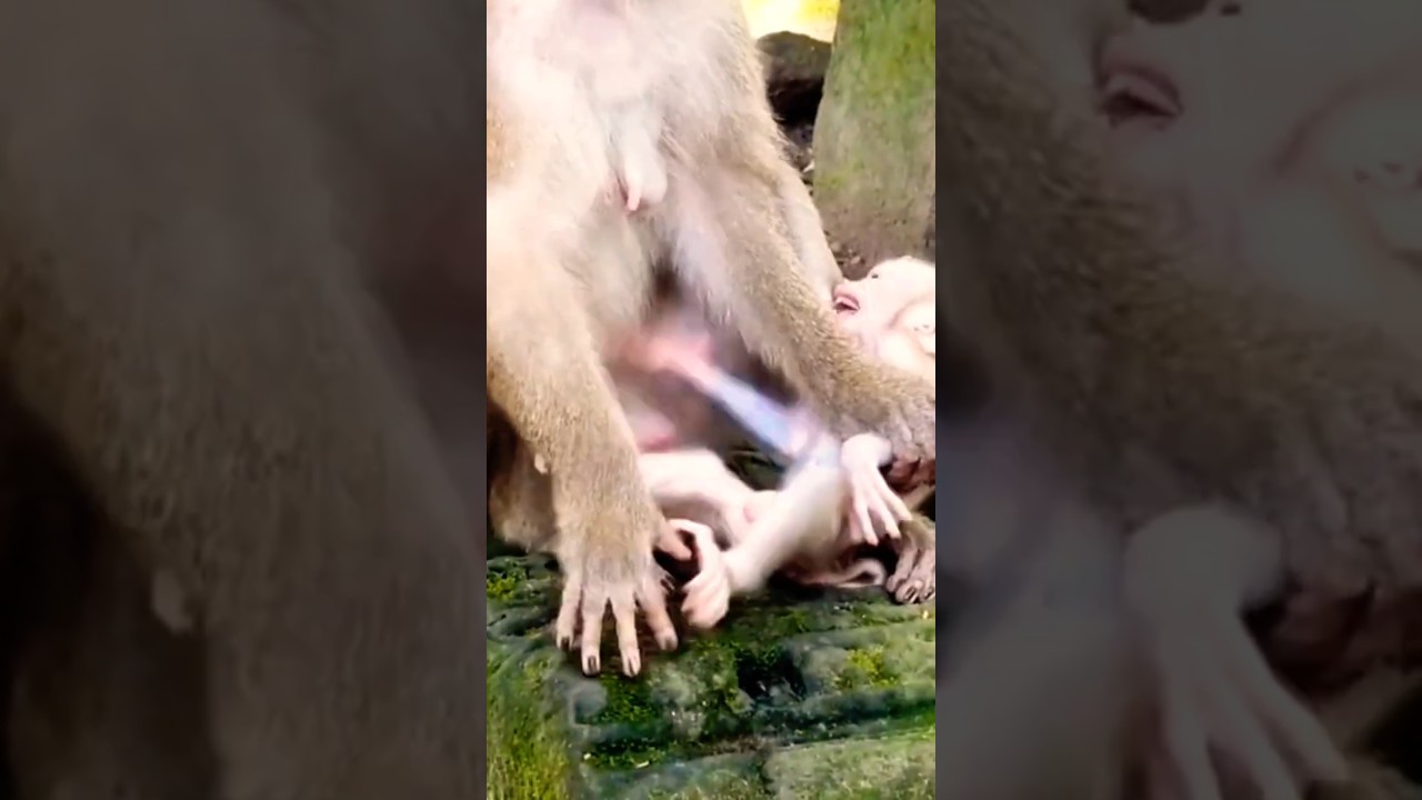 Luna mummy doing what for her baby 