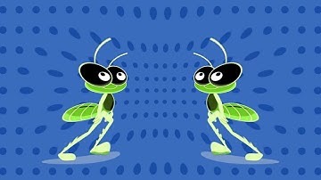 Bob Zoom Intro Effects - Cinematic Animation Reveal | Sponsored By Gamavision Csupo Effects