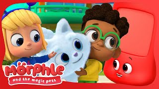 Bus Adventure with Morphle! | Morphle Cartoons | Available on Disney+ and Disney Jr