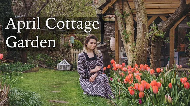 April Cottage Garden - Tulips Everywhere! Spring Flowers & Growing Vegetable Plants - DayDayNews