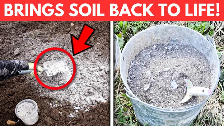 5 FORGOTTEN Ingredients That INSTANTLY Revive Dead Soil!