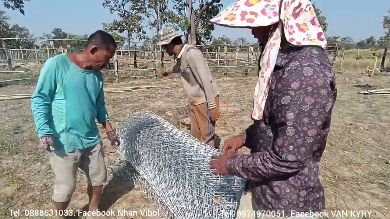 យាយវ៉េតតានីវប៉ានសំណាញ់បាំងរបងហើយជំនួយថវិកាអ្នកម៉ែមុំ