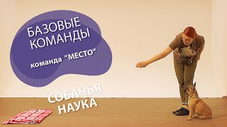 Дрессировка щенка: с чего начать? Команда 'Место'. by СОБАЧЬЯ НАУКА 95,848 views 2 years ago 9 minutes, 29 seconds