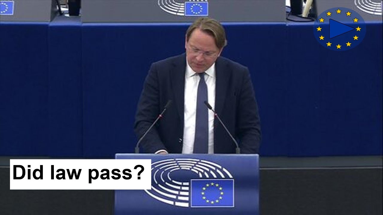 MEPs Debate Protests & Foreign Influence Law Closing Statement