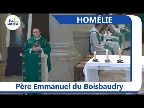 7ème-dimanche-du-temps-ordinaire---homélie-du-père-emmanuel-du-boisbaudry
