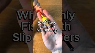 Why I only fish with slip bobbers #fishing #walleye #crappie #crappiefishing #panfish