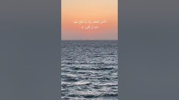 سورة الإنسان بصوت الشيخ سعود الشريم