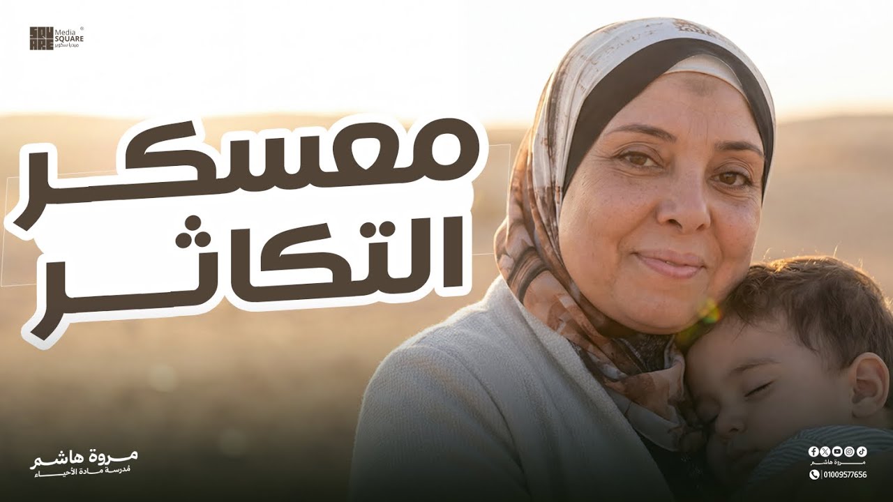 معسكر التكاثر في الإنسان 🔔🎤