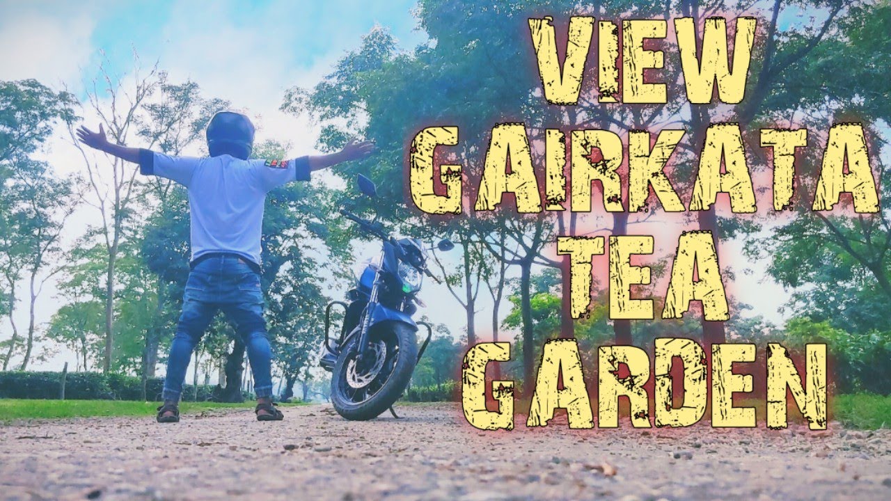 VIEW GAIRKATA TEA GARDEN || DHUPGURI GAIRKATA TEA GARDEN VIEW || DRProMotovlogs