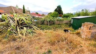 The AGAVE from HELL: Dispatching a ONE TONNE BEAST in Garden Makeover!!!