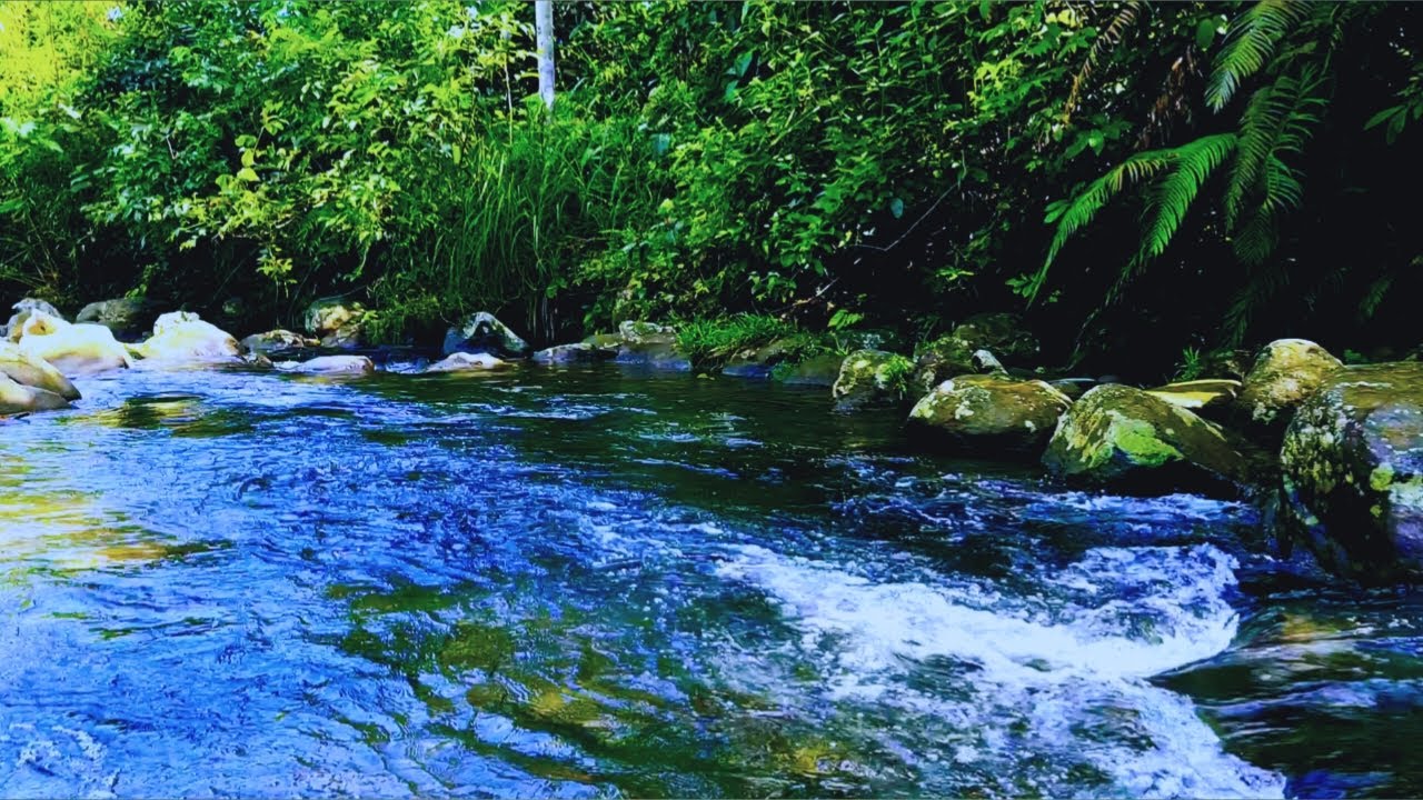 Relaxing Nature Sounds, white noise for sleeping, meditation