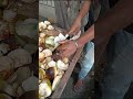 Amazing Palm Fruit Cutting Tadgola Ice Apple Street Food Mumbai Shorts Viral Short 