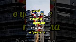 новый адрес в центре приема беженцев в Брюсселе