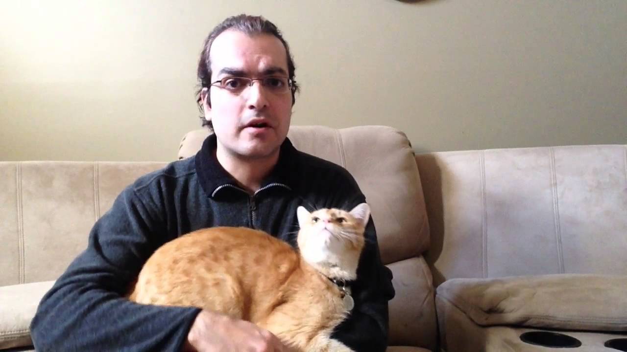 Cat Acts Like a Baby Partial Q&A YouTube